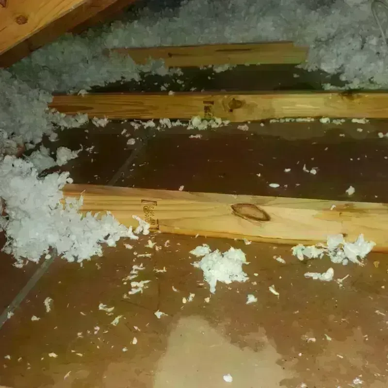 Attic Water Damage in Mathis, TX