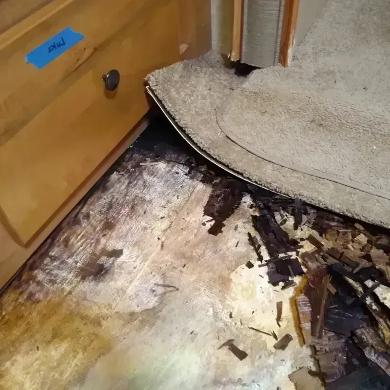 Wood Floor Water Damage in Mathis, TX